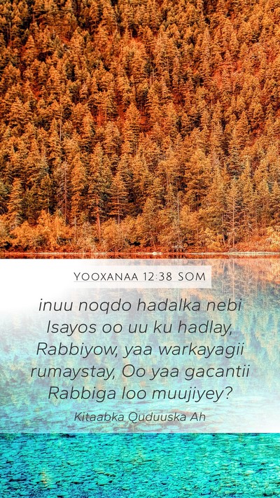 Yooxanaa 12:38 SOM Bible Verse Image