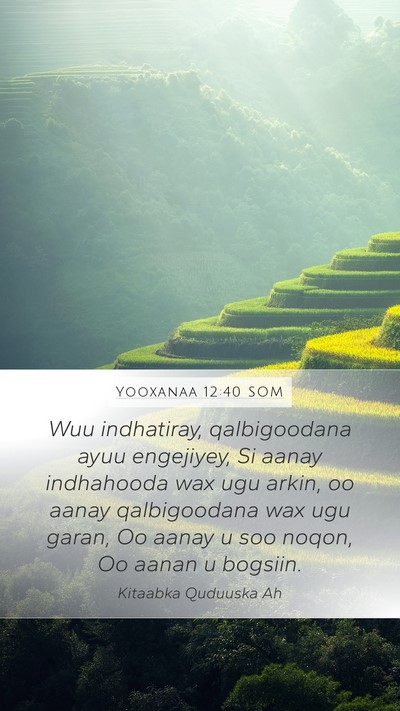 Yooxanaa 12:40 SOM Bible Verse Image