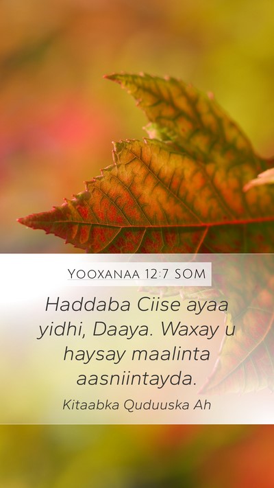 Yooxanaa 12:7 SOM Bible Verse Image