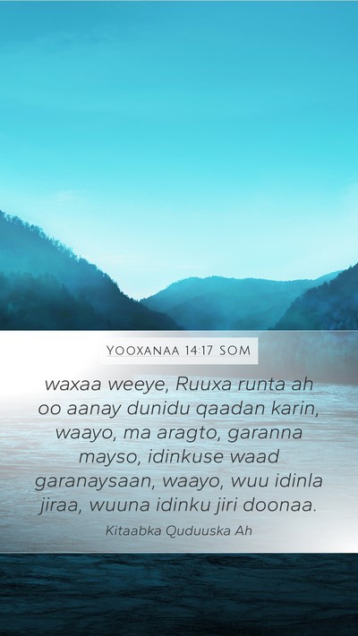 Yooxanaa 14:17 SOM Bible Verse Image