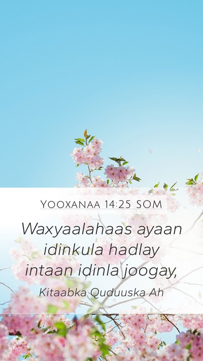 Yooxanaa 14:25 SOM Mobile Phone Wallpaper - Waxyaalahaas ayaan idinkula hadlay intaan idinla - Mobile Bible Verse Wallpaper