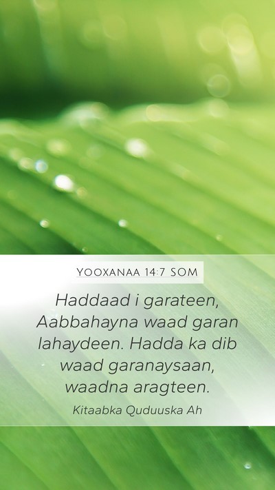 Yooxanaa 14:7 SOM Bible Verse Image