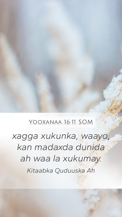 Yooxanaa 16:11 SOM Bible Verse Image
