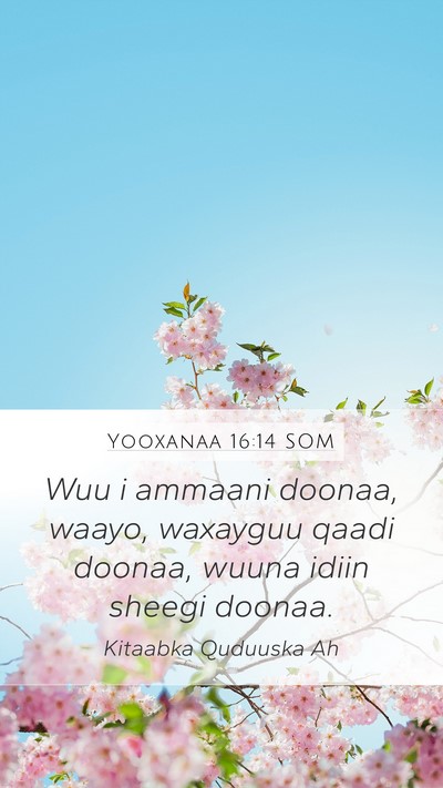 Yooxanaa 16:14 SOM Bible Verse Image