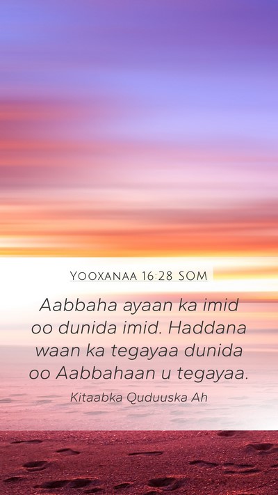 Yooxanaa 16:28 SOM Bible Verse Image