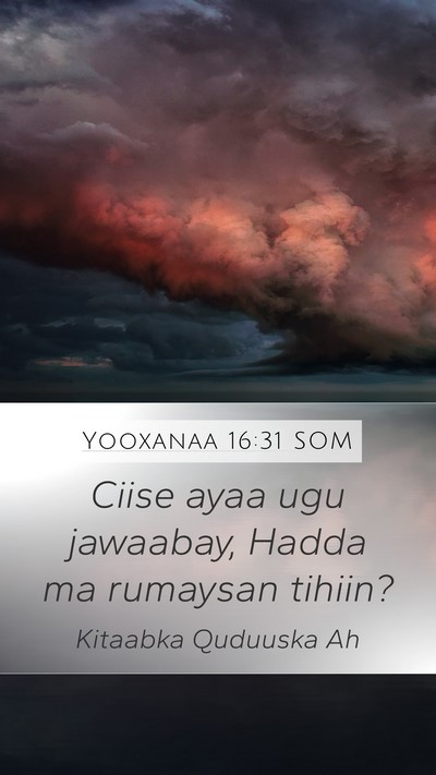 Yooxanaa 16:31 SOM Mobile Phone Wallpaper - Ciise ayaa ugu jawaabay, Hadda ma rumaysan - Mobile Bible Verse Wallpaper