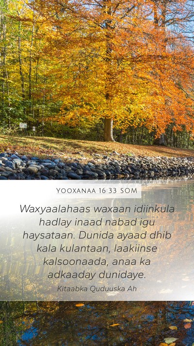 Yooxanaa 16:33 SOM Bible Verse Image