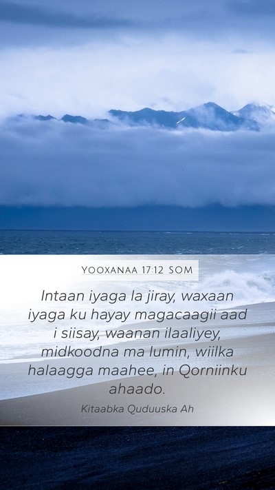 Yooxanaa 17:12 SOM Bible Verse Image
