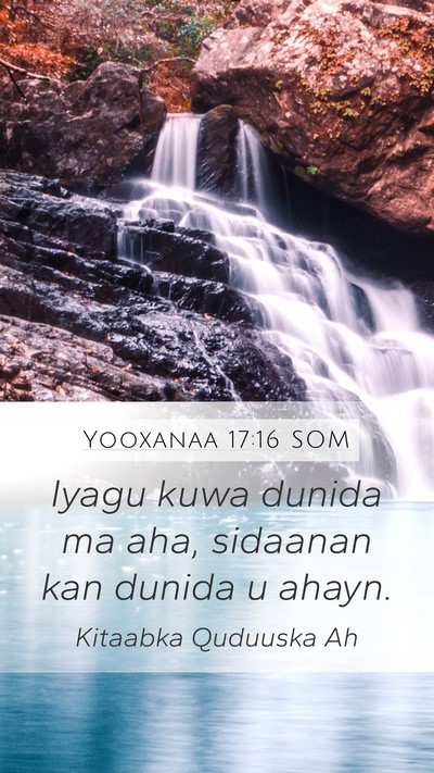 Yooxanaa 17:16 SOM Bible Verse Image