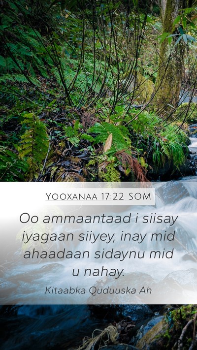 Yooxanaa 17:22 SOM Bible Verse Image