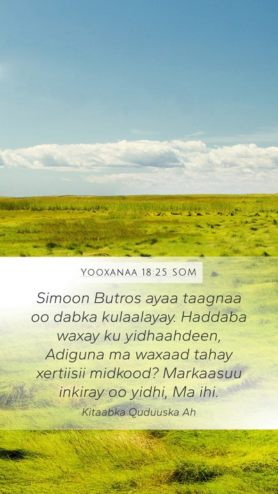 Yooxanaa 18:25 SOM Bible Verse Image