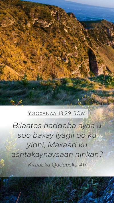 Yooxanaa 18:29 SOM Bible Verse Image