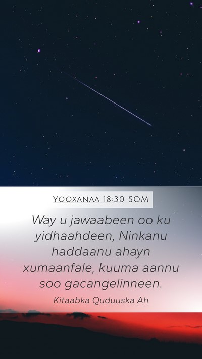 Yooxanaa 18:30 SOM Bible Verse Image