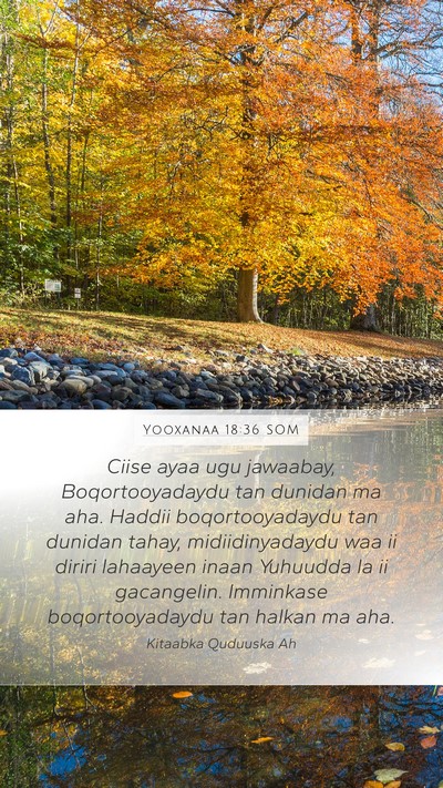 Yooxanaa 18:36 SOM Bible Verse Image