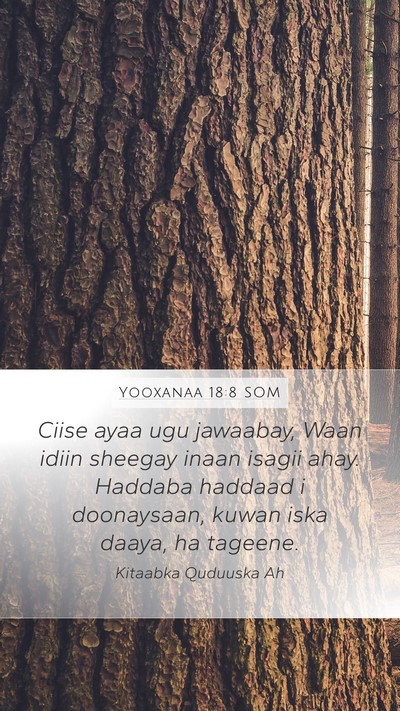 Yooxanaa 18:8 SOM Bible Verse Image