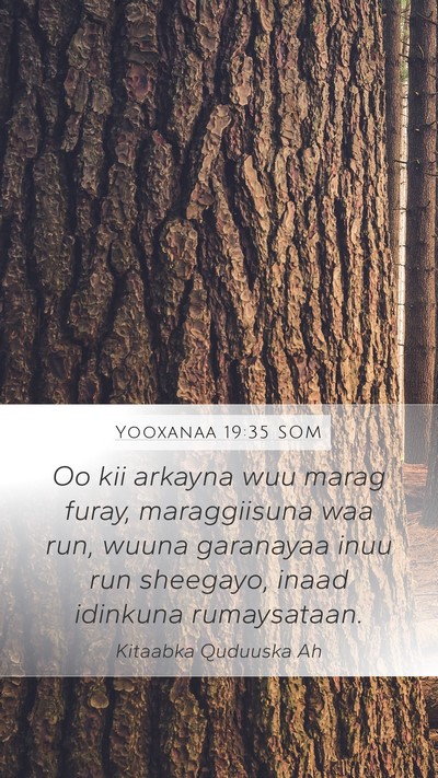 Yooxanaa 19:35 SOM Bible Verse Image