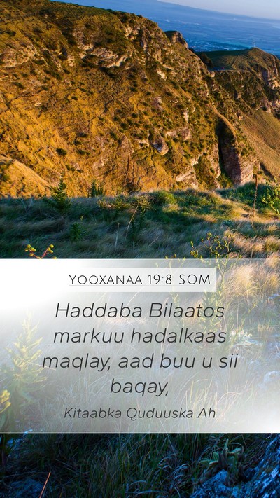 Yooxanaa 19:8 SOM Bible Verse Image
