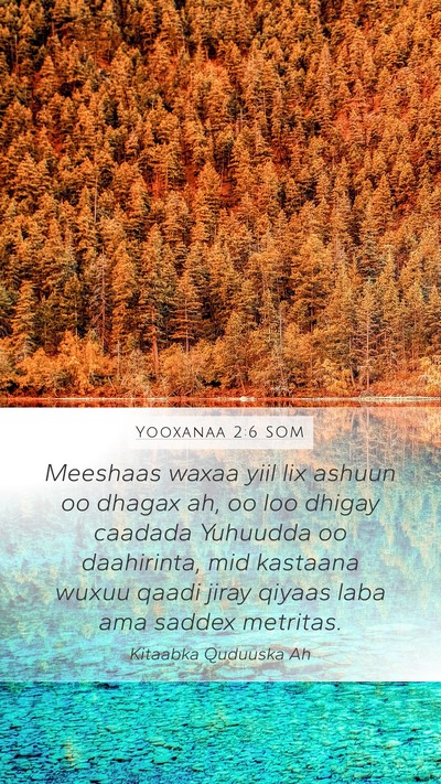 Yooxanaa 2:6 SOM Bible Verse Image