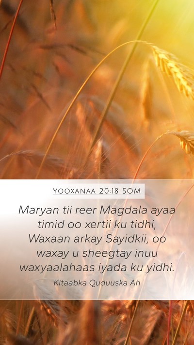 Yooxanaa 20:18 SOM Bible Verse Image