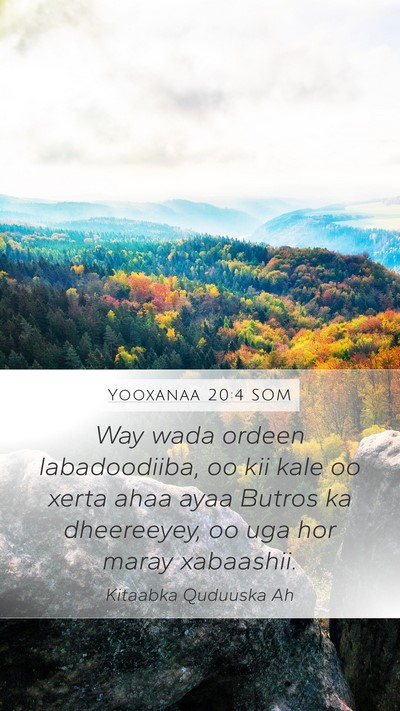 Yooxanaa 20:4 SOM Bible Verse Image
