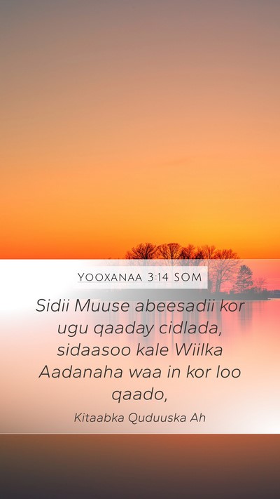 Yooxanaa 3:14 SOM Bible Verse Image
