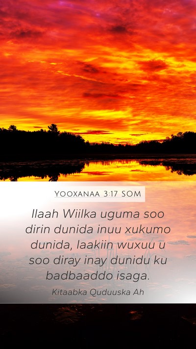 Yooxanaa 3:17 SOM Bible Verse Image