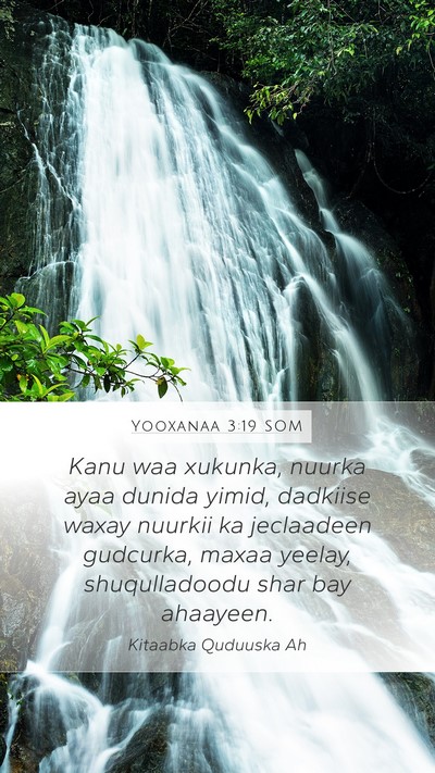 Yooxanaa 3:19 SOM Bible Verse Image