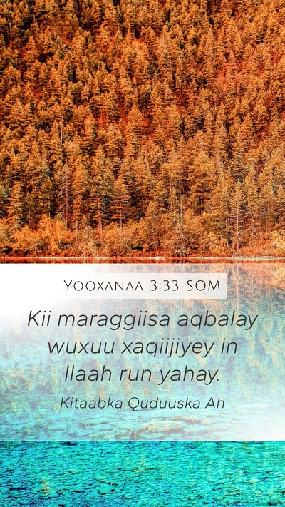 Yooxanaa 3:33 SOM Bible Verse Image