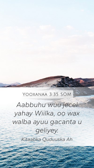 Yooxanaa 3:35 SOM Bible Verse Image