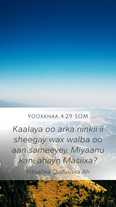 Yooxanaa 4:29 SOM Bible Verse Image