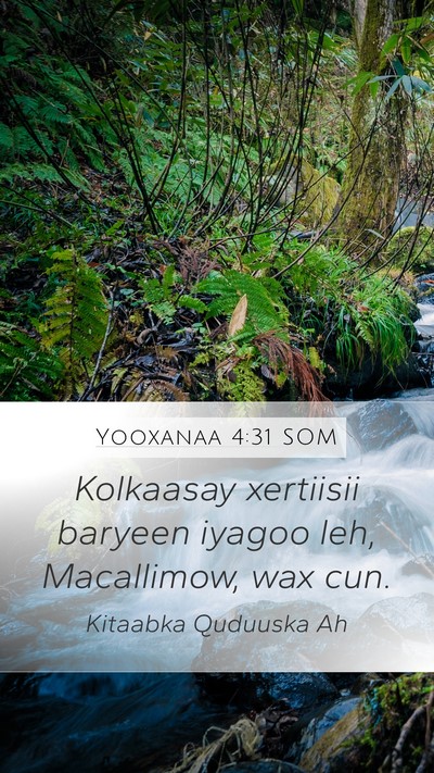 Yooxanaa 4:31 SOM Bible Verse Image
