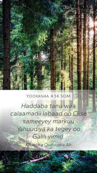 Yooxanaa 4:54 SOM Bible Verse Image
