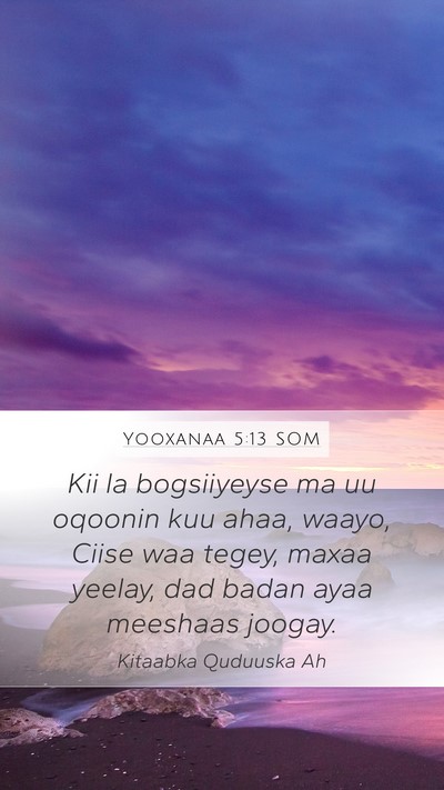 Yooxanaa 5:13 SOM Bible Verse Image