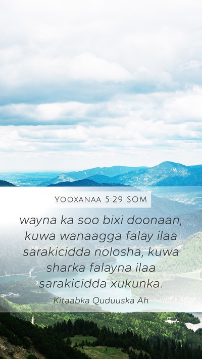 Yooxanaa 5:29 SOM Bible Verse Image