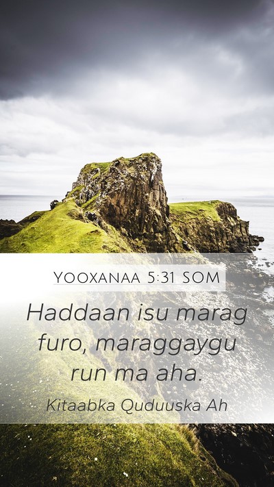 Yooxanaa 5:31 SOM Bible Verse Image