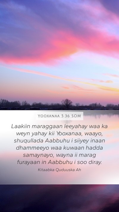 Yooxanaa 5:36 SOM Bible Verse Image
