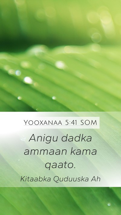 Yooxanaa 5:41 SOM Bible Verse Image