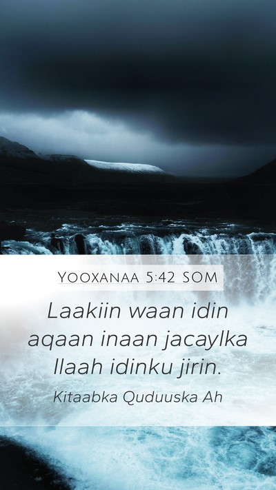 Yooxanaa 5:42 SOM Bible Verse Image