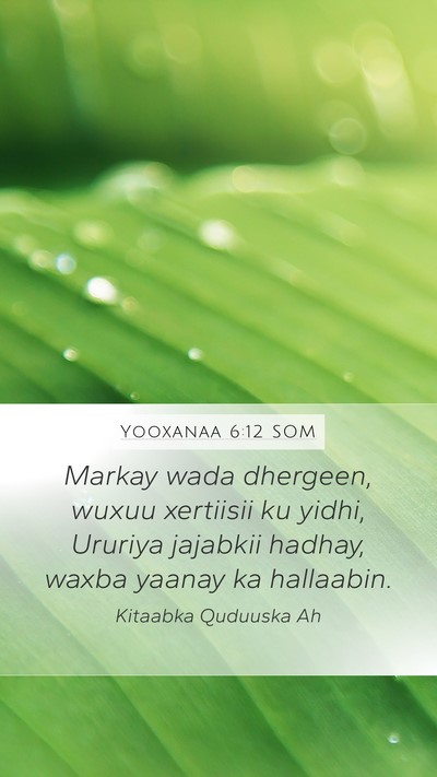 Yooxanaa 6:12 SOM Bible Verse Image