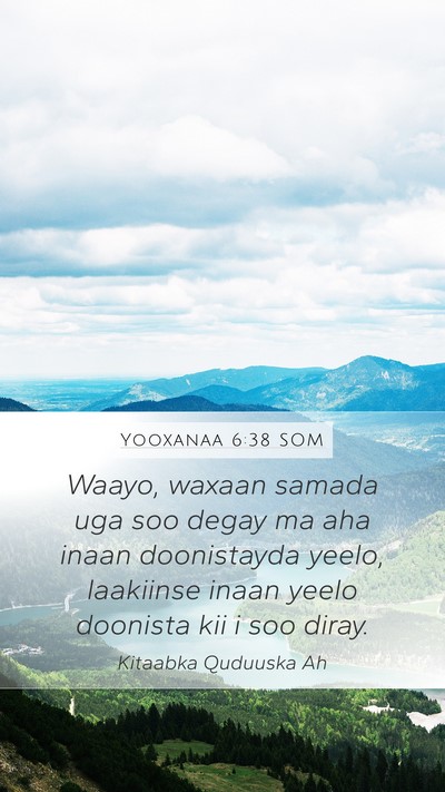 Yooxanaa 6:38 SOM Bible Verse Image