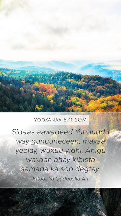 Yooxanaa 6:41 SOM Bible Verse Image