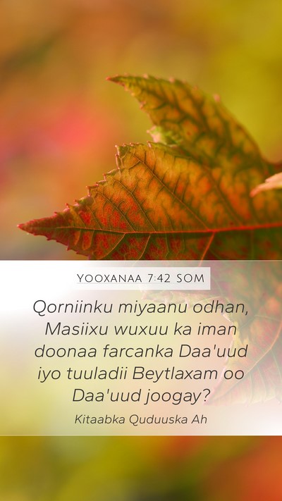 Yooxanaa 7:42 SOM Bible Verse Image