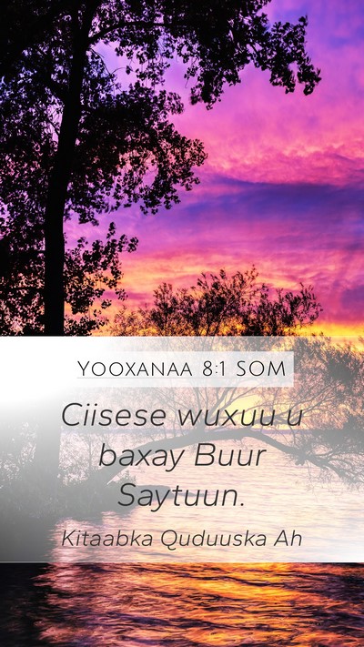 Yooxanaa 8:1 SOM Bible Verse Image