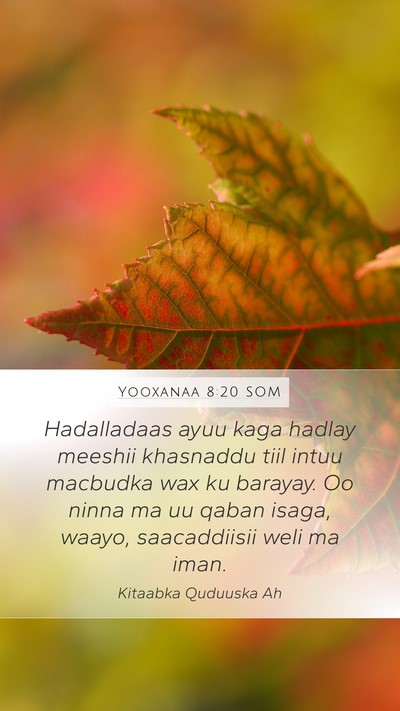 Yooxanaa 8:20 SOM Bible Verse Image