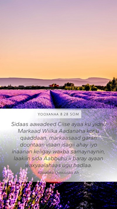 Yooxanaa 8:28 SOM Bible Verse Image
