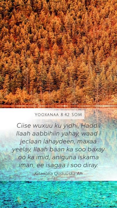 Yooxanaa 8:42 SOM Bible Verse Image